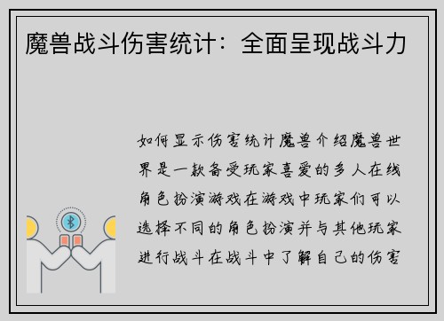魔兽战斗伤害统计：全面呈现战斗力